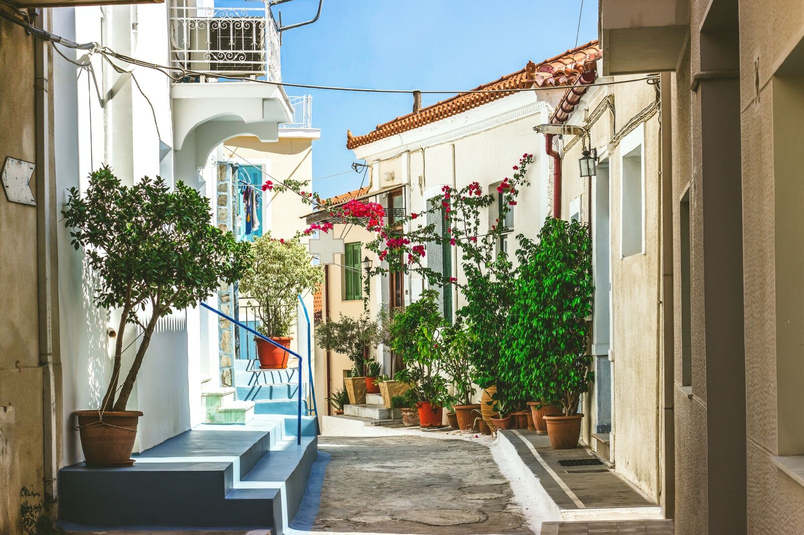 islands-day-trip-athens-13
