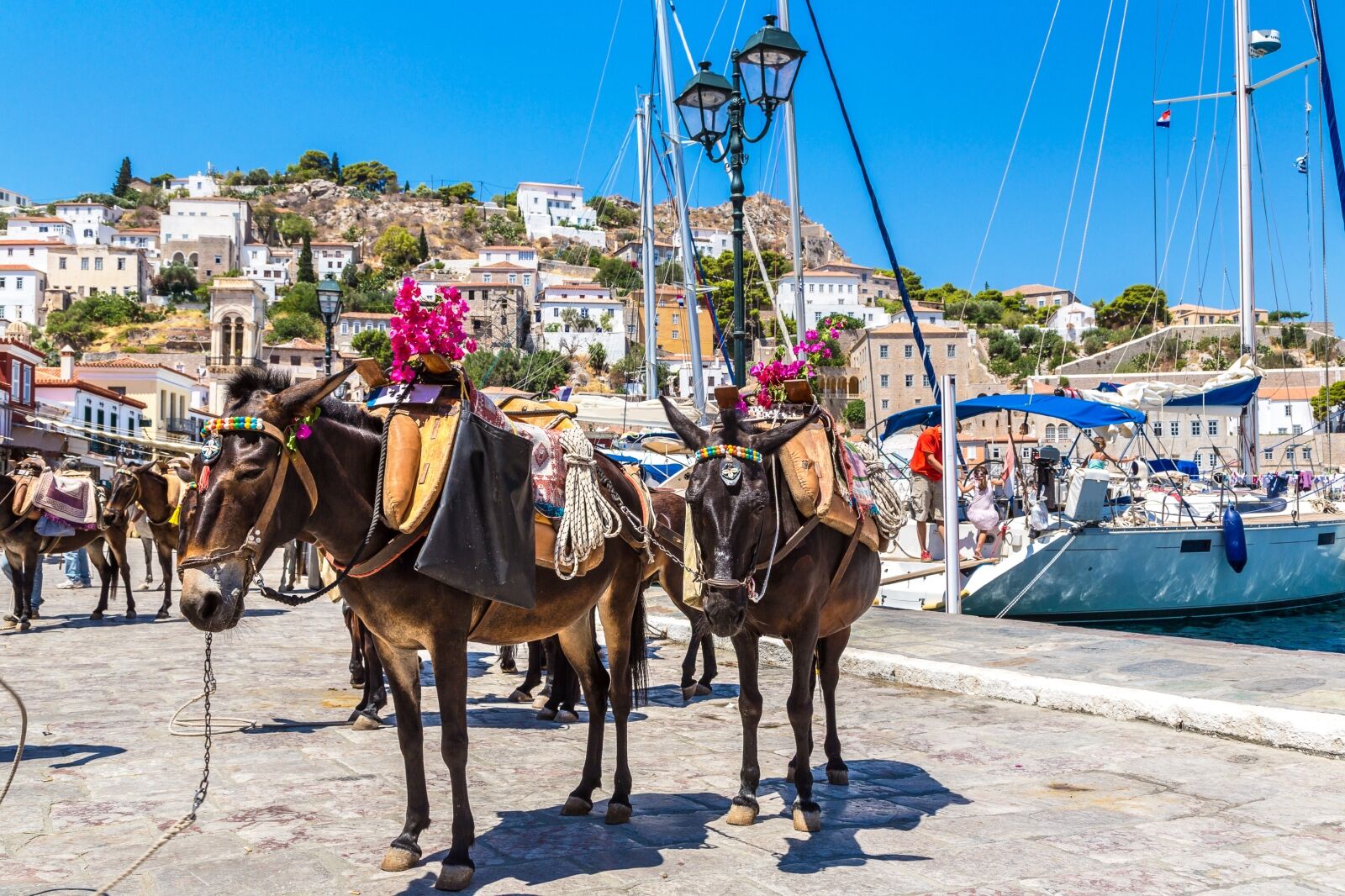 islands-day-trip-athens-8