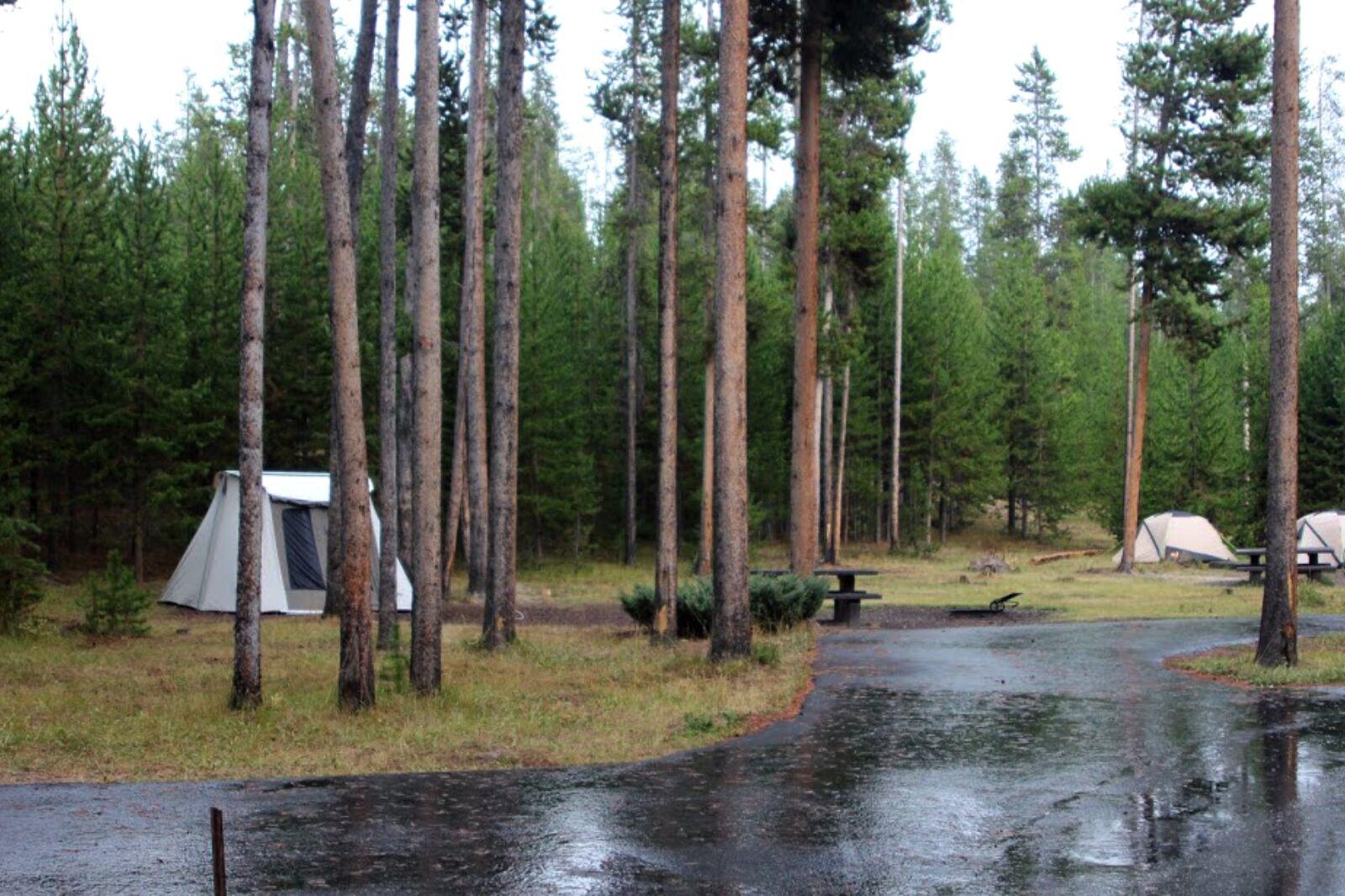 national-park-campgrounds-3