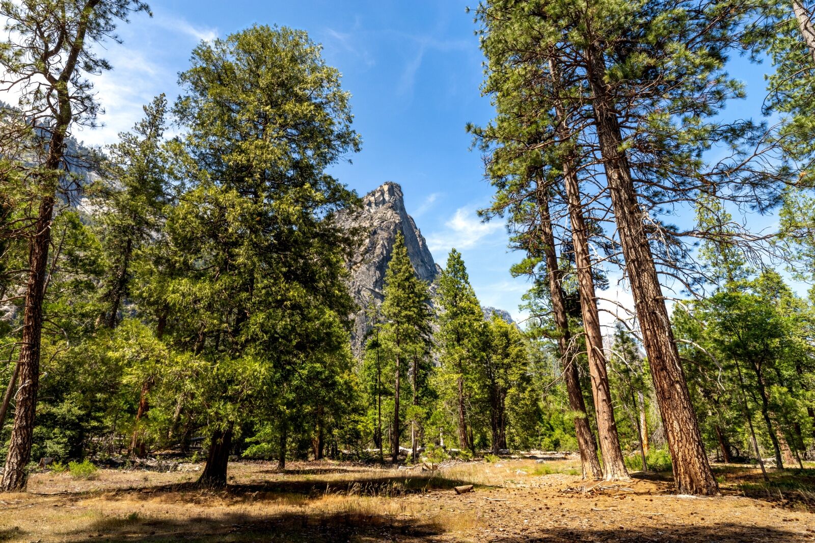 national-park-campgrounds-5