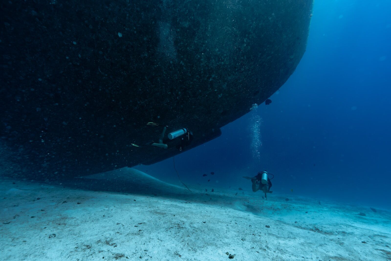 Diving-WitConcrete-at-Turneffe-Atoll-11