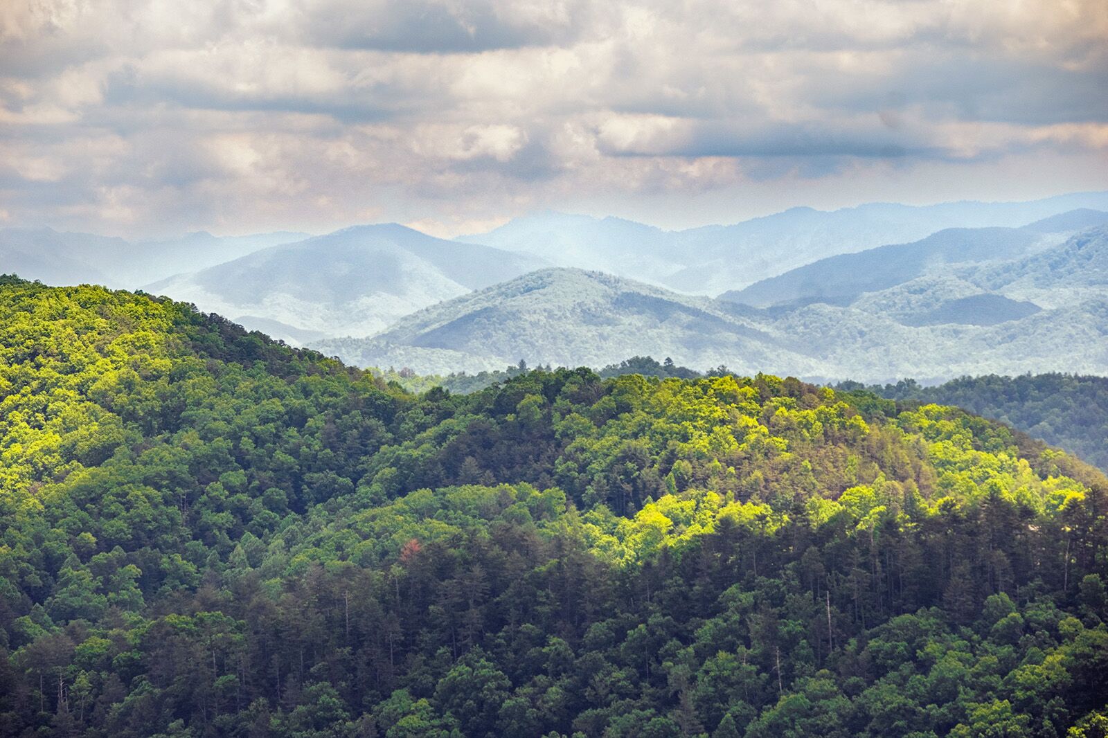 Smokies-Landscape-2