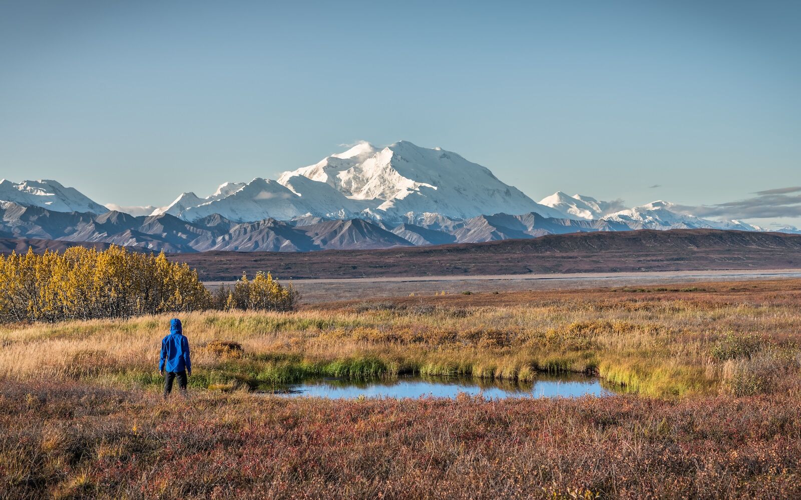 denali-hiking-1887234592