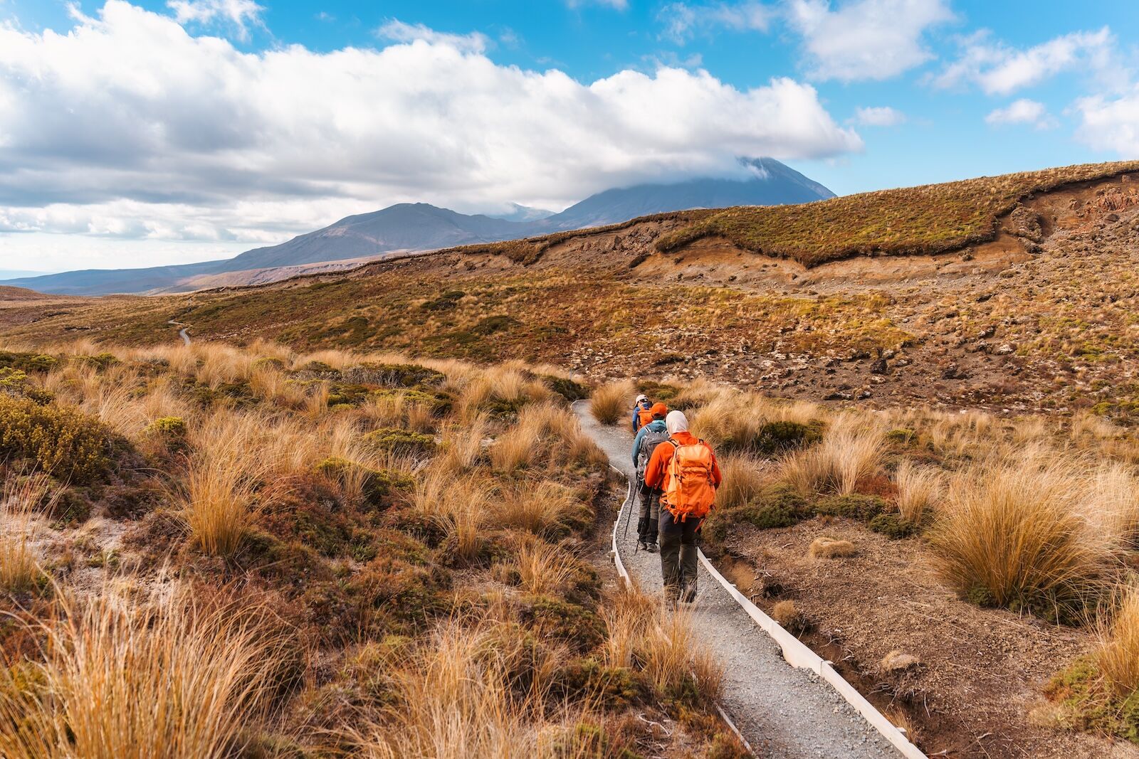 new-zealand-working-holiday-visa-2667533311