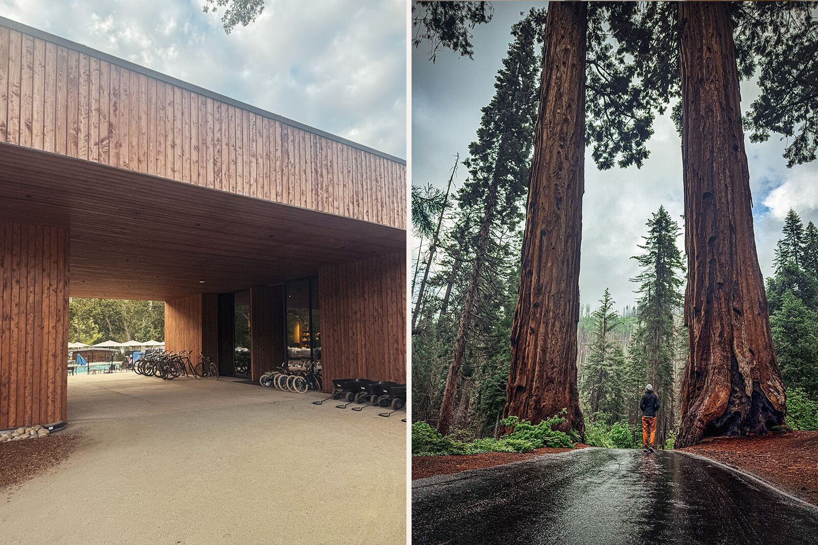 Sequoia-Autocamp-setting-2