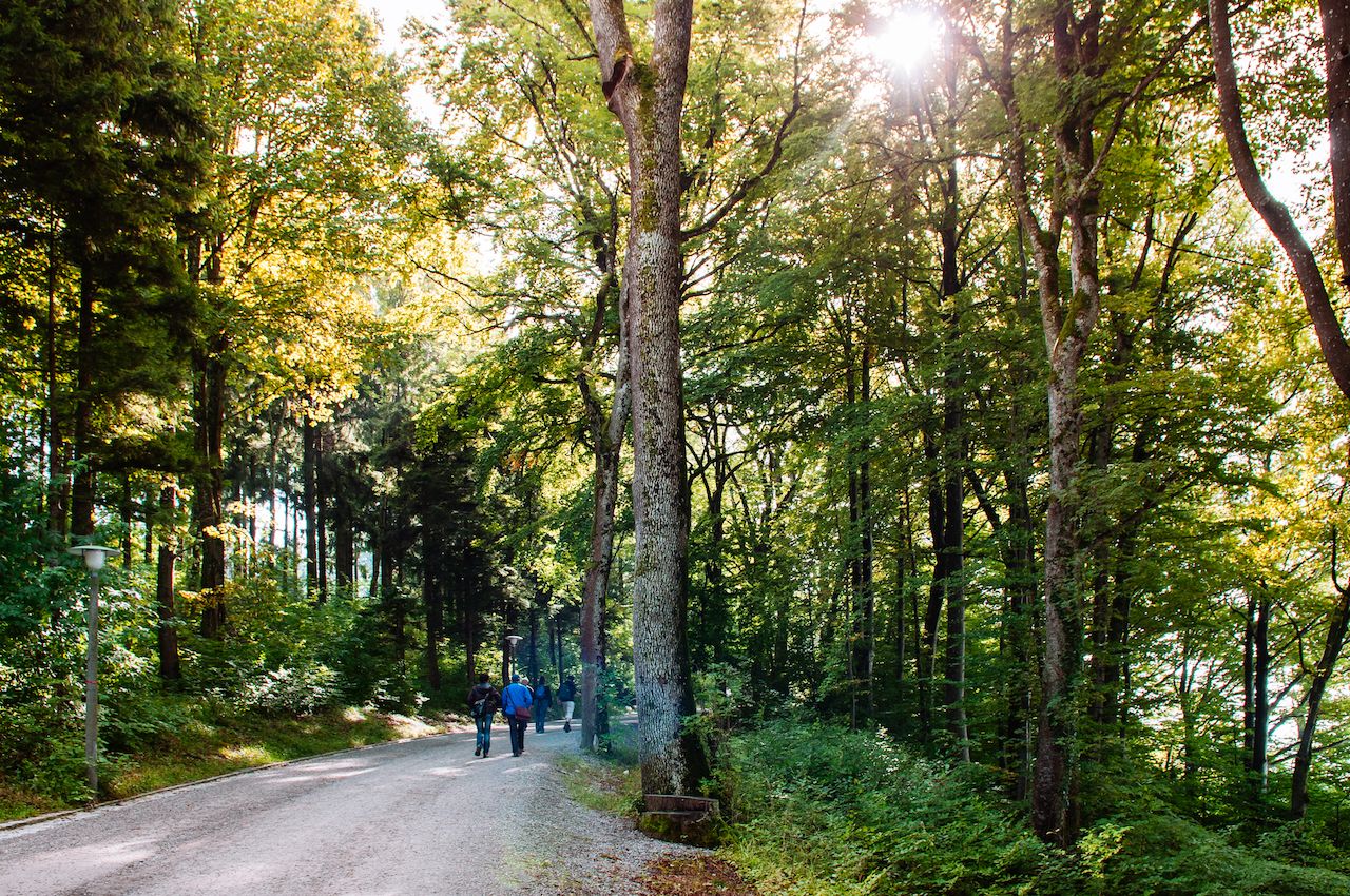 Tourists-at-forest-walking-trail-to-Mount-Uetliberg-viewpoint Tourists-at-forest-walking-trail-to-Mount-Uetliberg-viewpoint