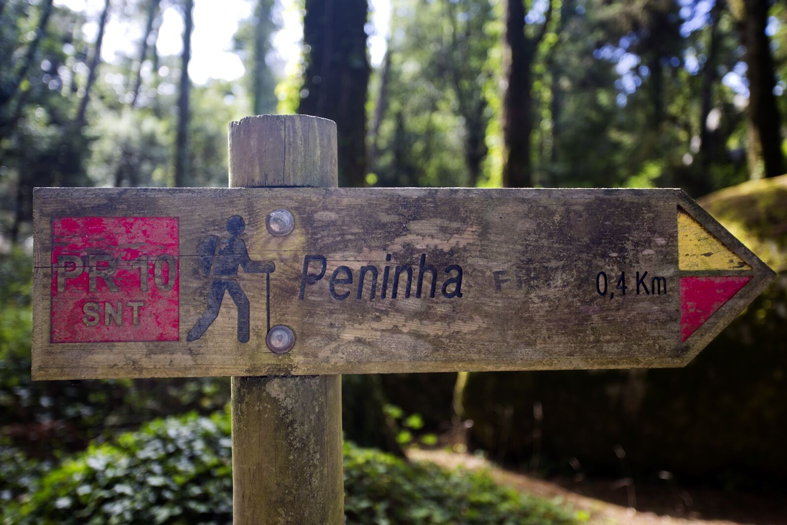 peninha-660055582 peninha-660055582