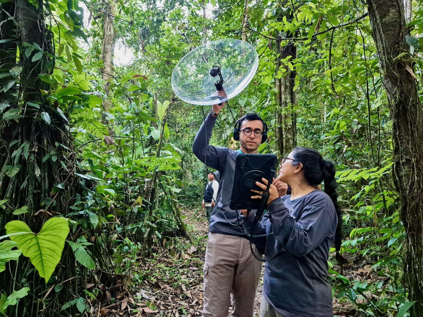 tambopata-1